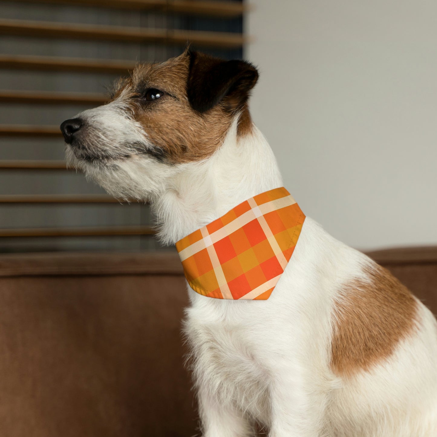 Orange Marmalade - Pet Bandana Collar