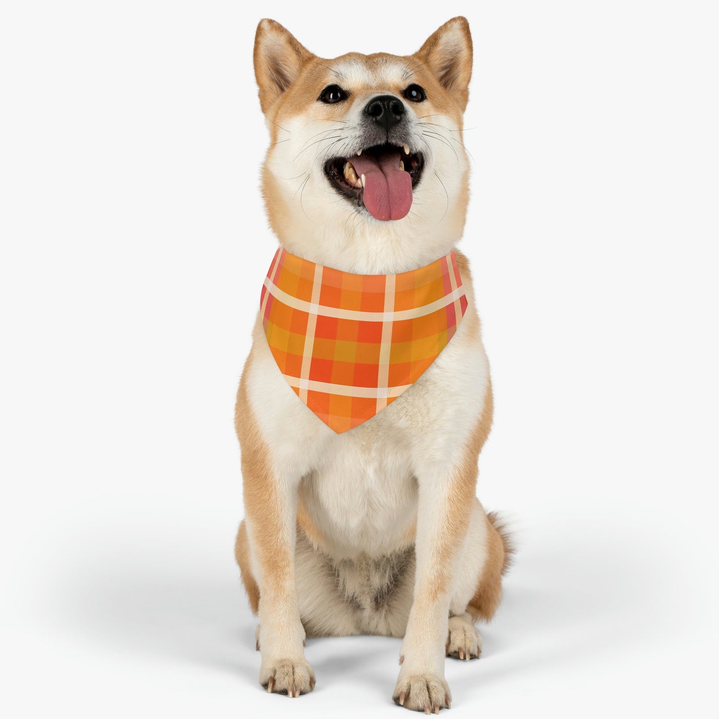 Orange Marmalade - Pet Bandana Collar