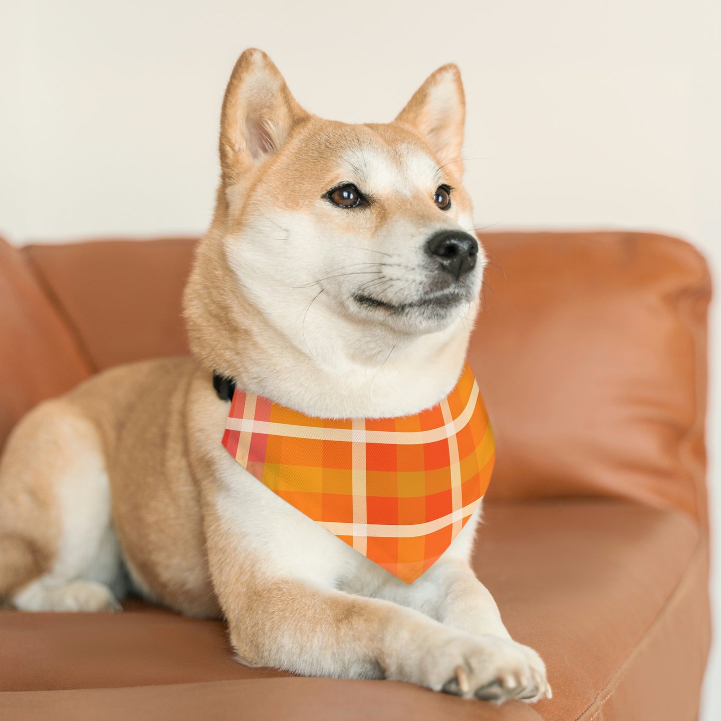 Orange Marmalade - Pet Bandana Collar